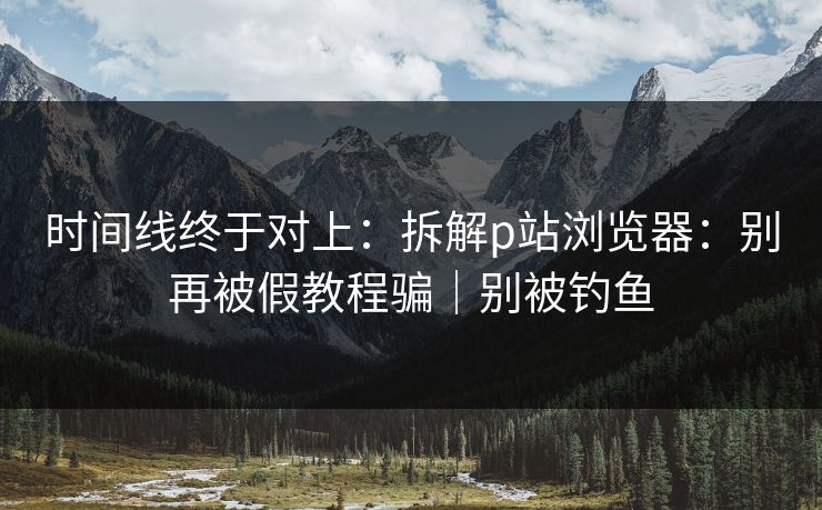 时间线终于对上：拆解p站浏览器：别再被假教程骗｜别被钓鱼